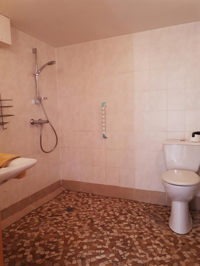 Serendipity For All Apartments Saint-Die-des-Vosges エクステリア 写真
